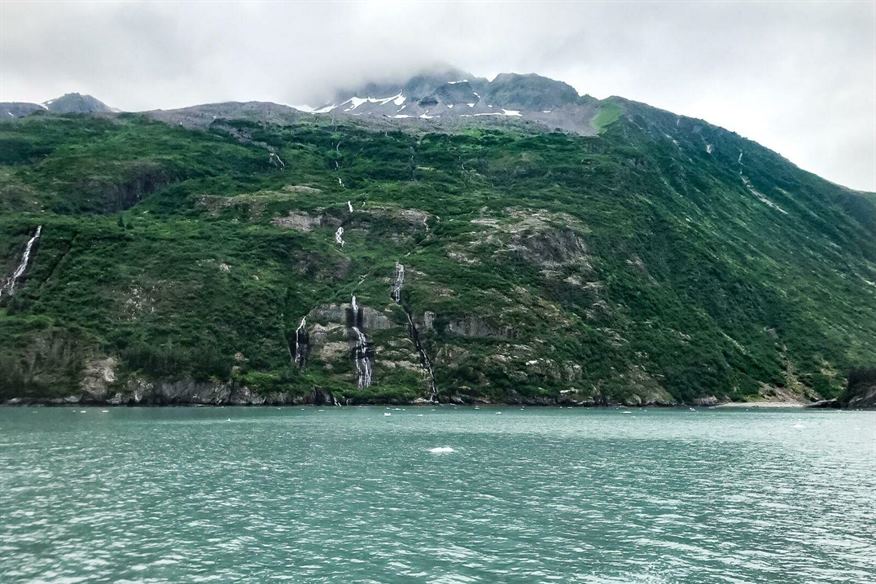 Image Credit: Scott E. Whiteman